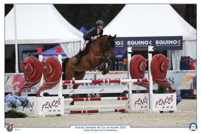 Hongre 6 ans très performant