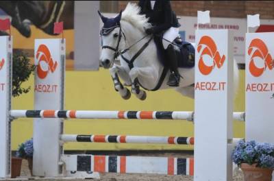 Pony connemara salti ostacoli