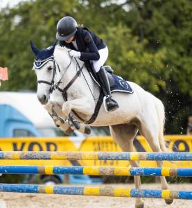 Jument connemara a vendre 2011 gris par va tout du ruere