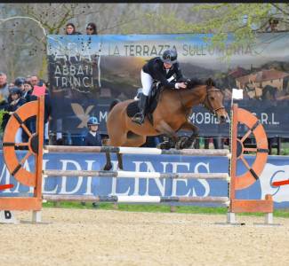 Pony femmina Olandese