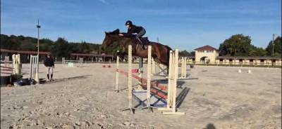 Jument 6 ans par dexter de kerglenn 