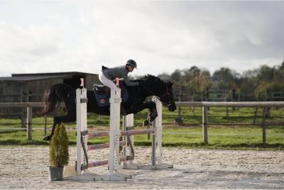 Blackjack blackfame - purosangue arabo 2010 ,  ka noon rej