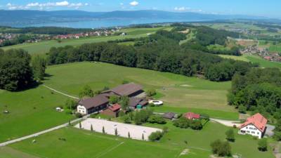 Recherchons palefrenier / employé de ferme avec chevaux