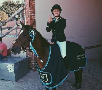 Mare Origin Recorded For sale 2013 Bay