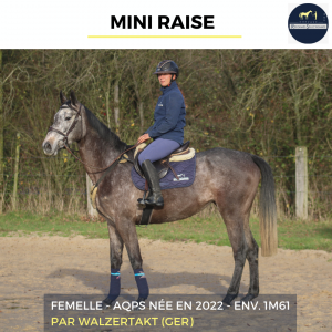 Mini raise - aqps - 3 ans
