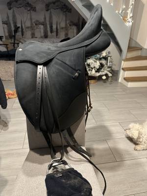 Sella da dressage wintec  18