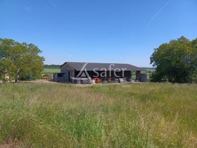 Azienda agricola in vendita vienne