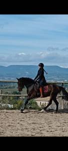 CALIDAD,ELEGANCIA Y POTENCIAL: YEGUA DE 4 A&Ntilde;OS