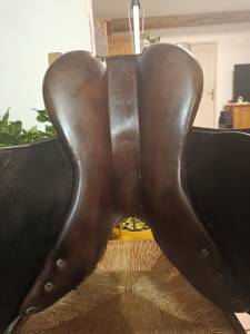 Sella da salto ostacoli antarès  17.5