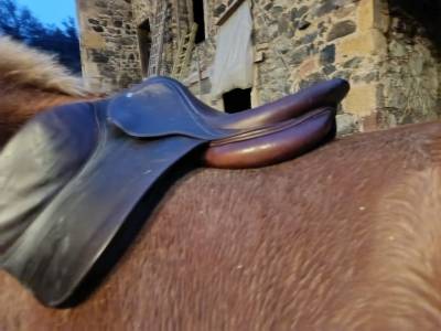 Sella da salto ostacoli antarès altaïr 17.5