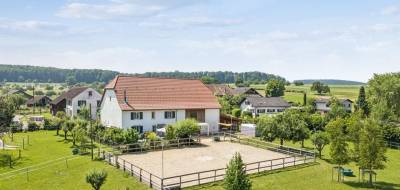 Equestrian property  Jura