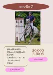 Caballo en venta- silla francés 
