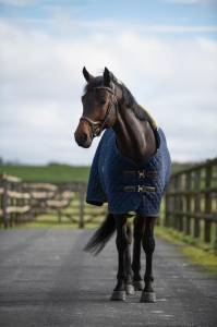 Top entier - SF 135/140 avec junior