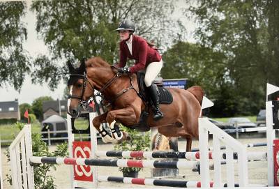 Hongre de 7 ans à vendre 