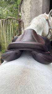 Selle chiberta k 16.5