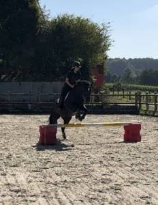 Poney superbe à vendre