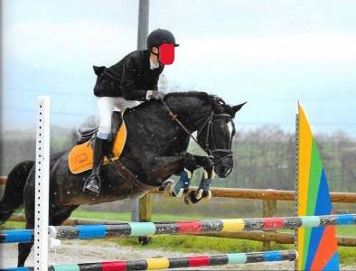Poney superbe &agrave; vendre