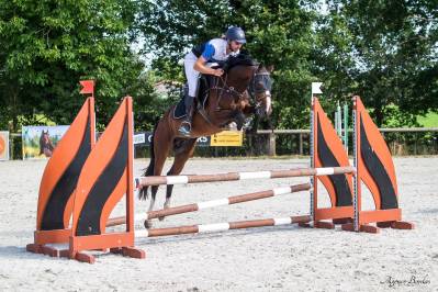 Mare Origin Recorded For sale 2021 Bay