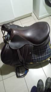 Selle forestier seoul