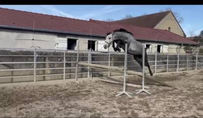 Male 4 ans catchar mail x casano