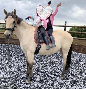 1/3 de pension - durbuy