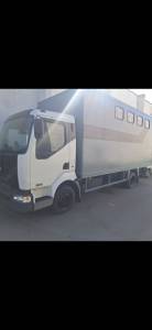 Camion per Cavalli Renault Midlum  2004 Occasione