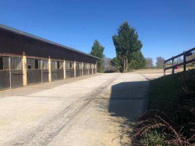 Haras de ligny 