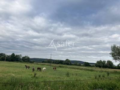 Bâtiment équestre avec 10 ha - maison à réhabiliter