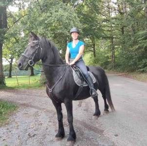 Jument frisonne onc de 16 ans a placer