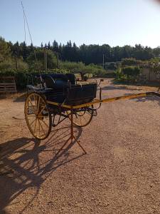 Carriage - Gig Pouvreau 2roues 