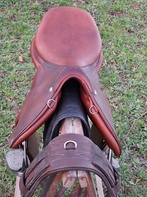 Sella da salto ostacoli butet  17.5