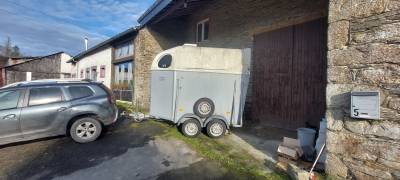 Van cheval liberté 1 cheval et demi à vendre 