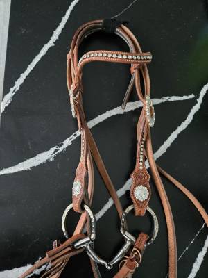 Bridon et collier de chasse western