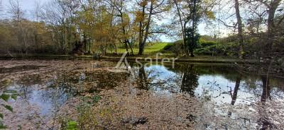 Etang, pré et bois sur 2ha24 en périgord vert
