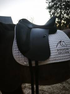 Sella da dressage wintec  17.5