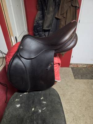Selle equipe évolution 
