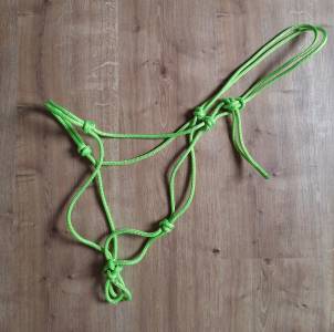 Licol &eacute;thologique 