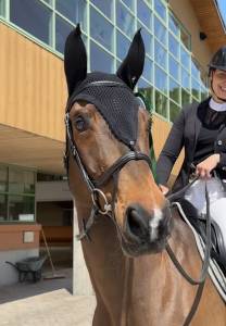 Herzenspfers & verlässlicher lehrmeister