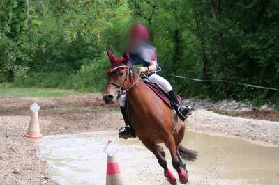 Mare No Origin Recorded For sale 2014 Bay