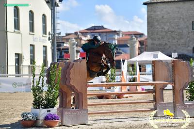 Jument Cheval de Sport Tch&egrave;que  A vendre 2013 Bai