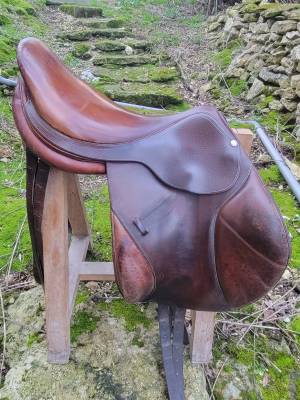 Selle boeckelo forestier