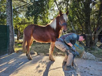 Très jolie et gentille pouliche 