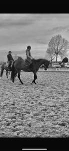 Recherche apprentissage BPJEPS 