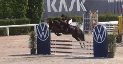 Pony sportivo da completo salto ostacoli