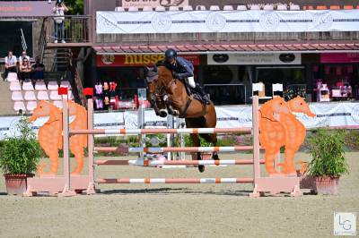 Hongre idéal children / junior 