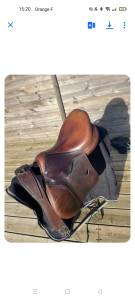 Selle antares spooner 