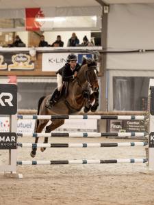 Poney d’as élite à vendre, fenomene du cyan