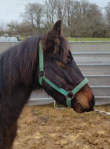 Mill merci d'arquetan