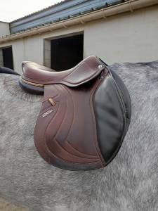 Selle mademoiselle cwd