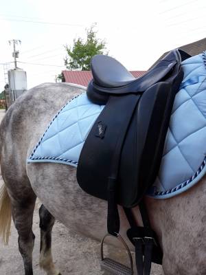 Sella da dressage zaldi  17.5